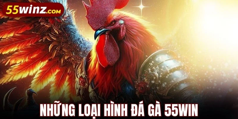 Đá gà 55WIN đa dạng thể loại cược hấp dẫn